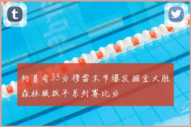 约基奇35分穆雷末节爆发掘金大胜森林狼扳平系列赛比分