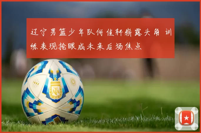 辽宁男篮少年队何佳轩崭露头角 训练表现抢眼成未来后场焦点