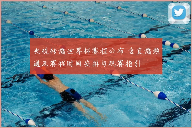 央视转播世界杯赛程公布 含直播频道及赛程时间安排与观赛指引