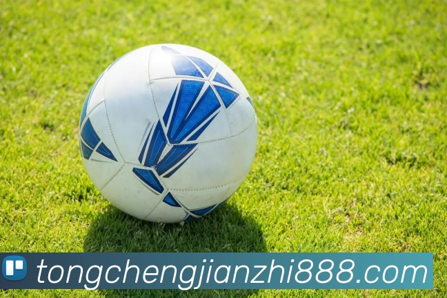 2UP体育(2UPsports) - 官方网站入口品牌故事