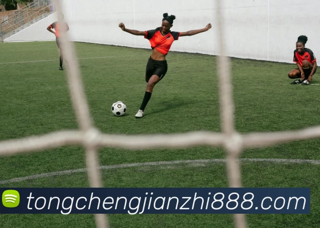 2UP体育(2UPsports) - 官方网站入口服务体系